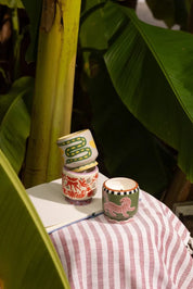 Wild Lemongrass A Dopo Ceramic Candle 226g
