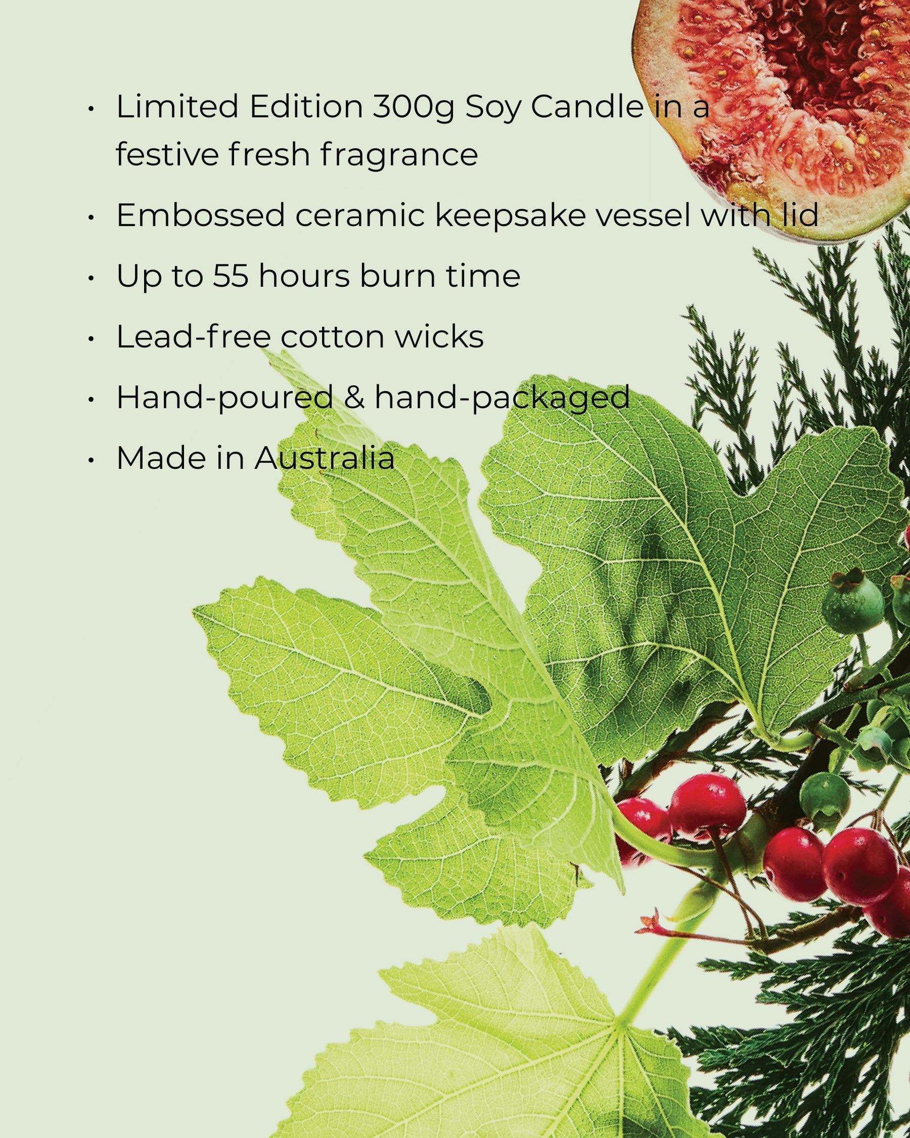 WHITE FIG & CEDAR | 300g Soy Candle