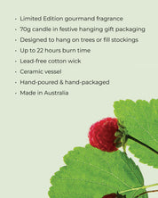 RASPBERRY & RHUBARB | 70g Bauble Candle