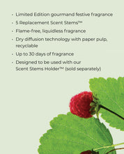 RASPBERRY & RHUBARB | Scent Stems Refill