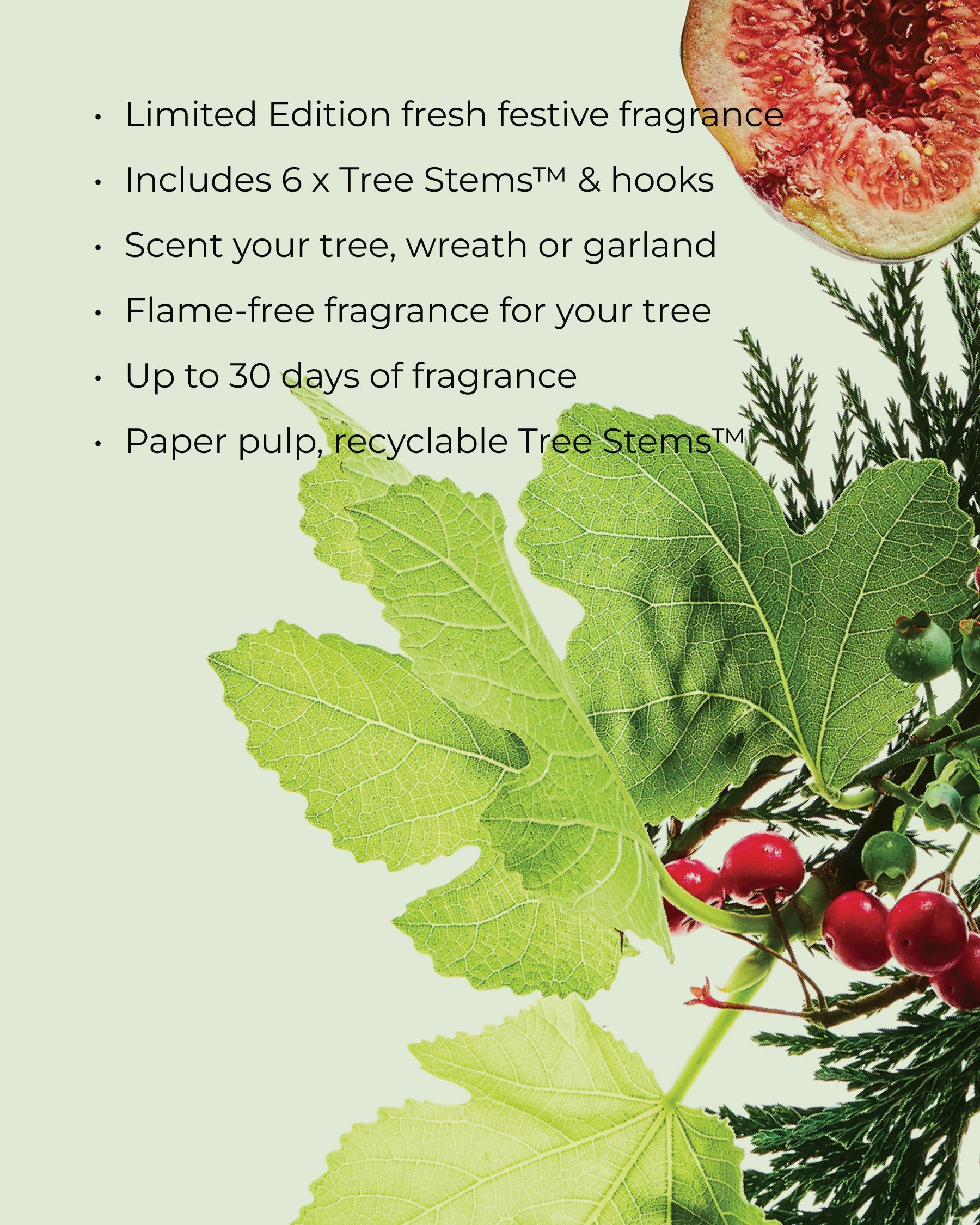 WHITE FIG & CEDAR | Christmas Tree Scent Stems