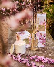 Cherry Blossom & Green Tea 250mL Fragrance Diffuser