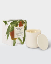 Mango & Papaya 300g Soy Candle