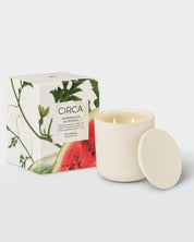 Watermelon & Coconut 300g Soy Candle