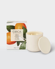 Alchemy Alfresco Mandarin & Neroli 300g Soy Candle