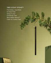 WINTER WONDERLAND | Frosted Fir & Snow Gum | Tree Scent Stems