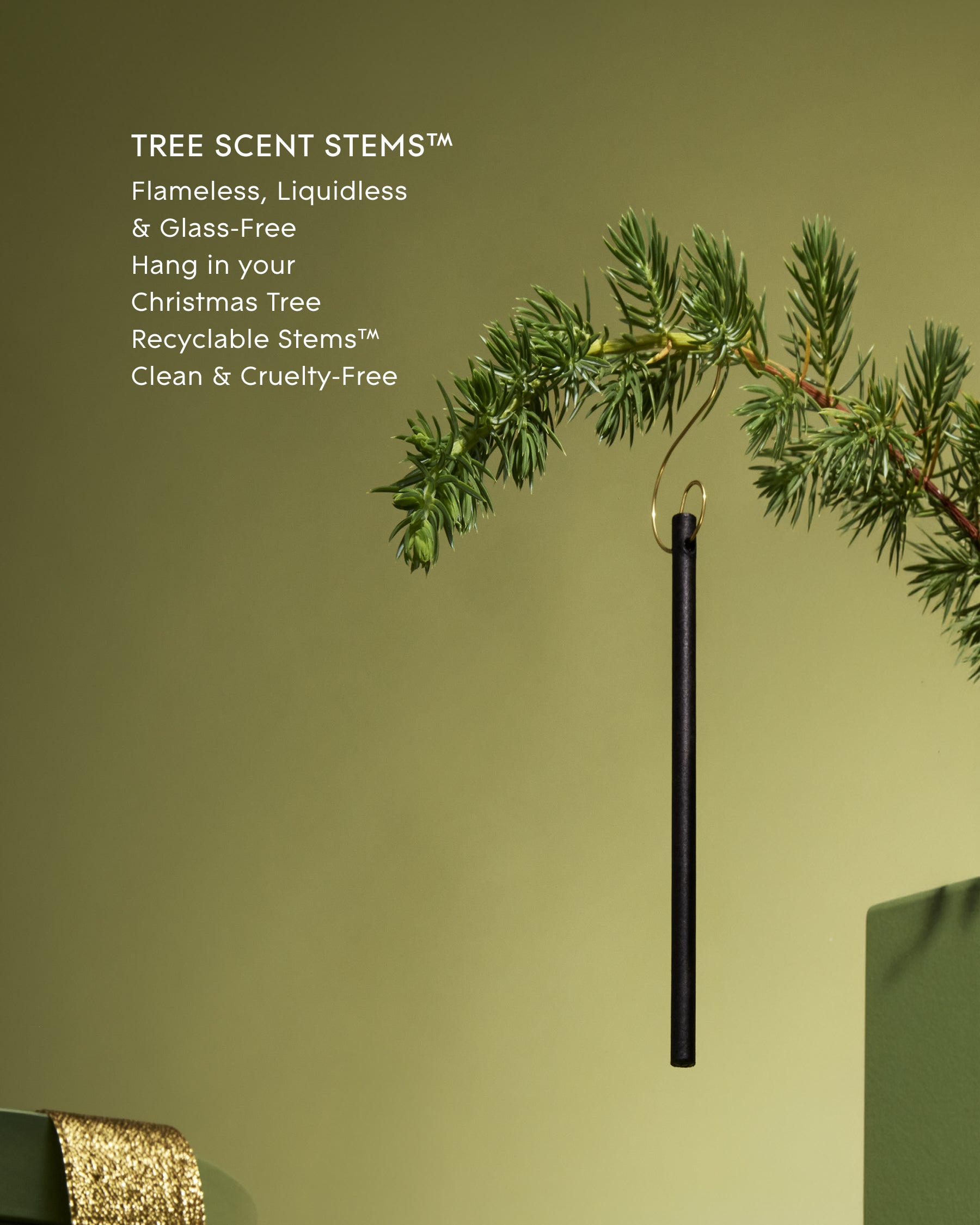 WINTER WONDERLAND | Frosted Fir & Snow Gum | Tree Scent Stems
