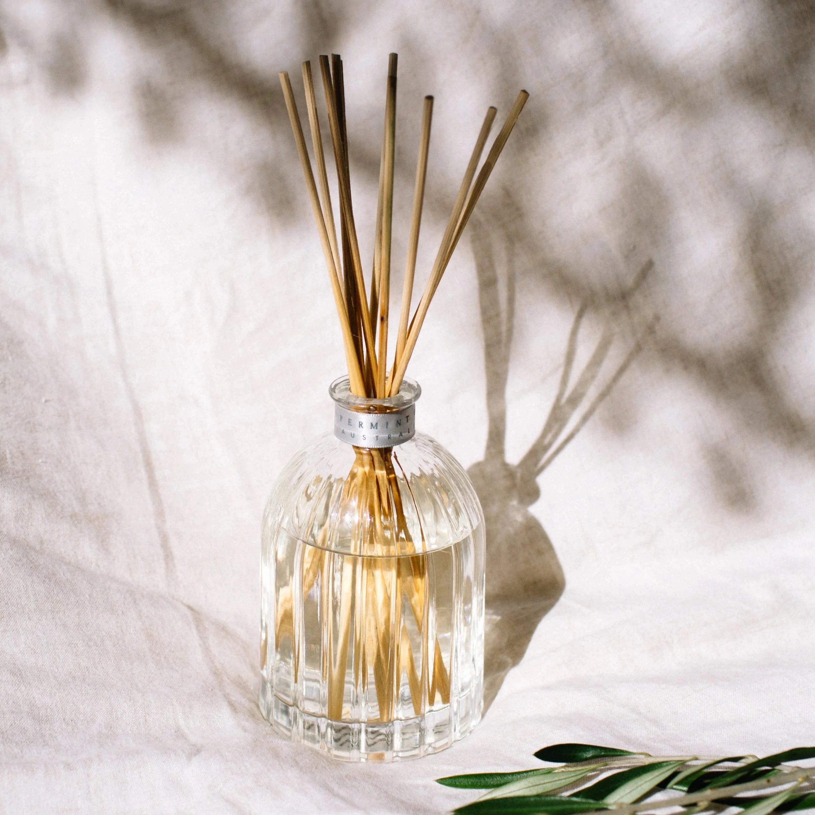 FRESH SAGE & CEDAR | 350ml Fragrance Diffuser