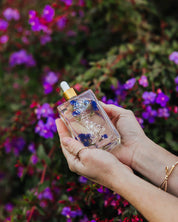Seeds of Spring Body Oil