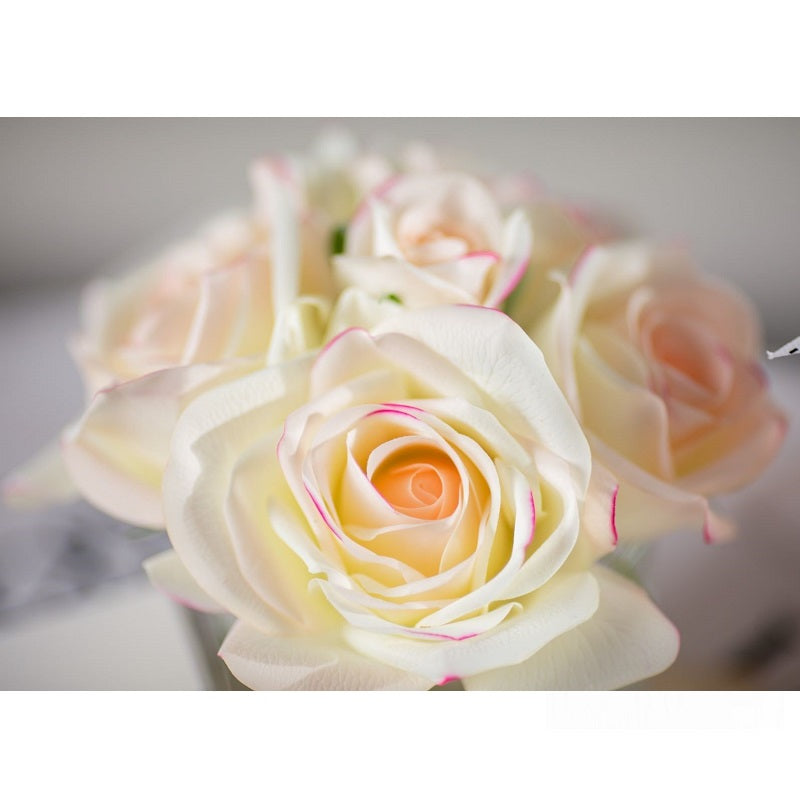 Perfumed Natural Touch 5 Roses | Clear - Pink Blush